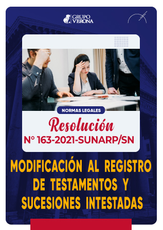 Resolución 163-2021-SUNARP/SN