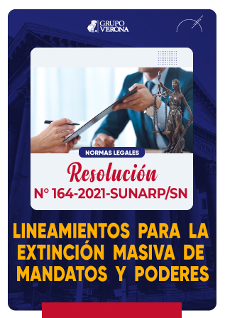 Resolución 164-2021-SUNARP/SN